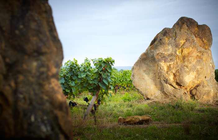 La naissance d'une icône, vignobles Brumont 20,00 €