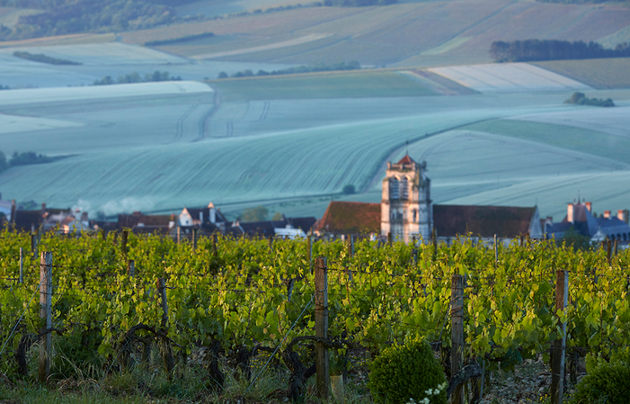 Visite et Dégustation au Domaine Goisot 8,00 €