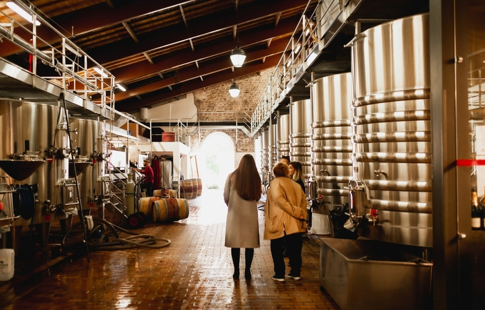 Après-midi découverte du Médoc avec visites de propriétés viticoles 95,00 €