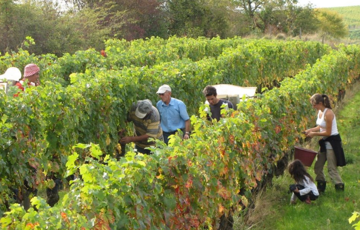 Visite Du Domaine Des Béguineries 1,00 €