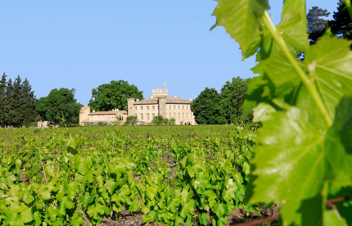 Visite et dégustation au Domaine Villa Baulieu 5,00 €