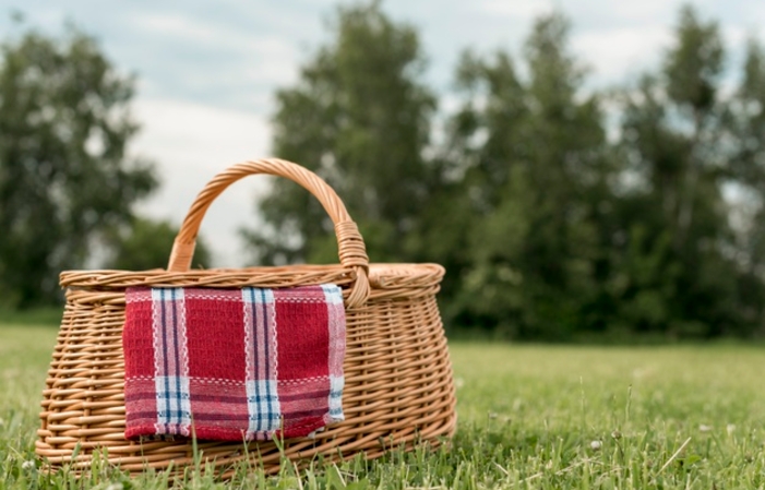 Visite & "Déjeuner sur l'herbe" dans le parc 30,00 €