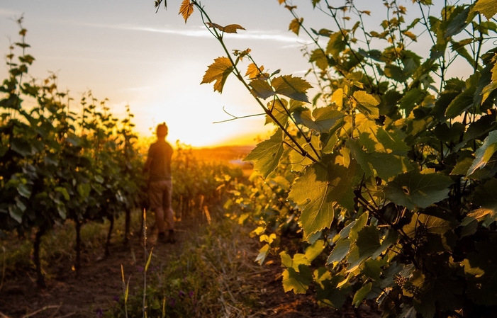 Visite le Vigneron Gourmand au Domaine De Prapin 38,00 €