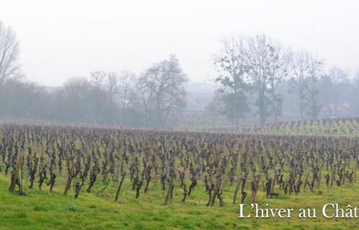 Visite Du Château du Cléray 3,00 €