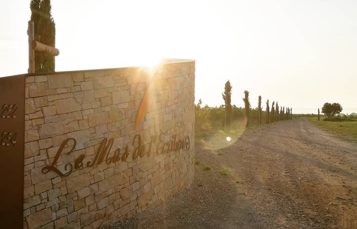 Visite et dégustations du domaine le Mas l'ecriture 1,00 €