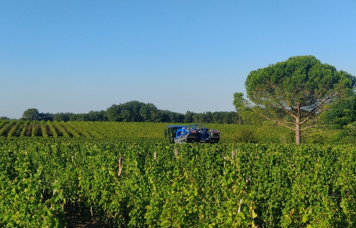 Visite et Dégustation au Domaine Combet 1,00 €