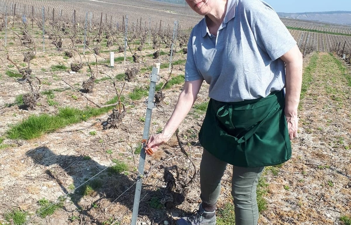 Visite Du Domaine Champagne Naveau 1,00 €