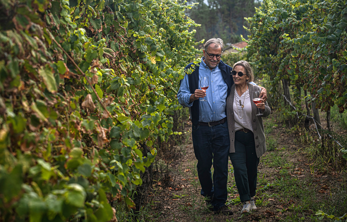 Dégustation de vins haut de gamme 40,00 €