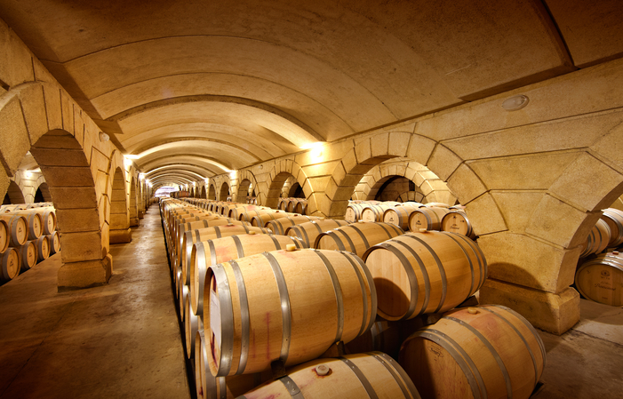 Les secrets d'un grand vin, vignoble Brumont 60,00 €