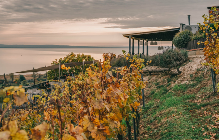 Visite de LAPOSA ESTATE Winery 1,00 €