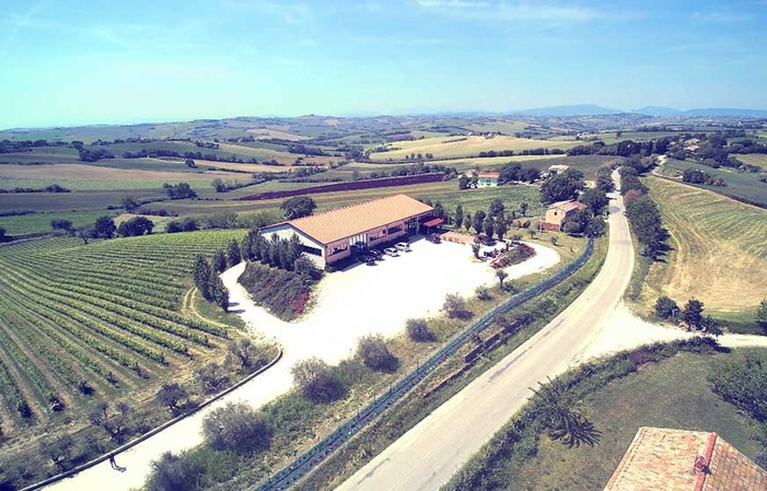 Visite Du Domaine Azienda Agricola Bruscia 1,00 €