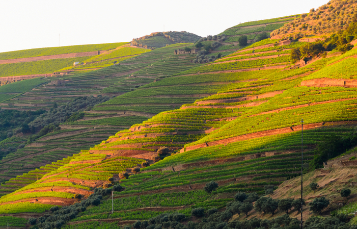 Détendez-vous Douro: Profitez de la vallée 100,00 €