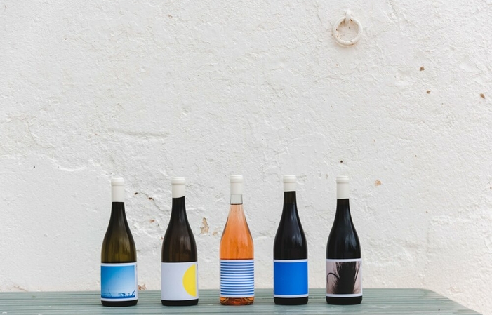 Visite du vignoble et dégustation de vins au Morgado do Quintão 17,50 €