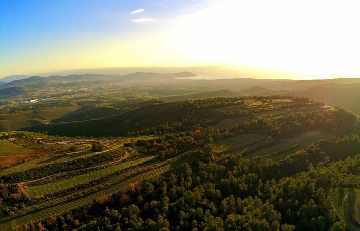 Visite et dégustations Domaine de la Begude 1,00 €