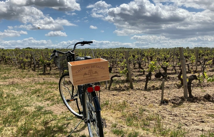 Visite de "la Vigne au Vin" au Château de Sales 25,00 €