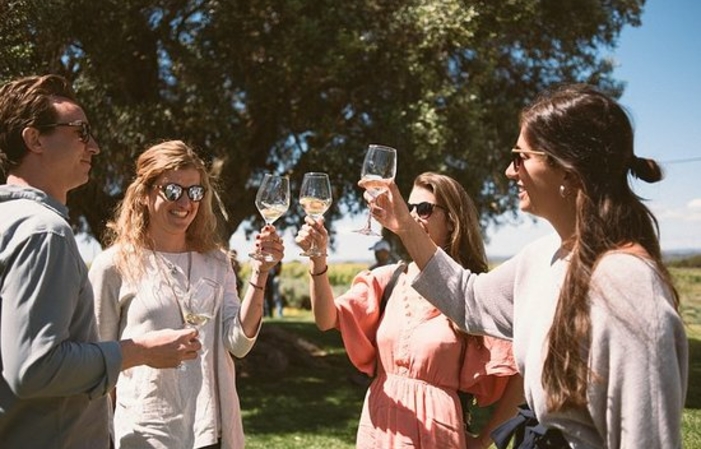 Visite de vignobles haut de gamme et dégustation de vin à Morgado do Quintão 25,00 €