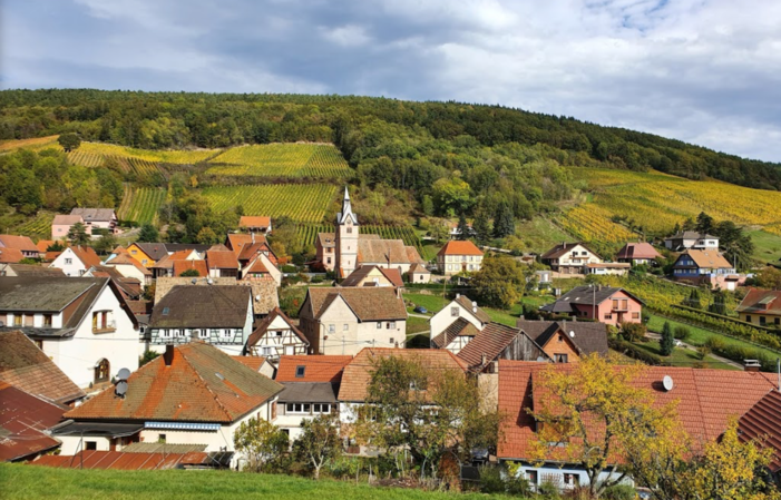 Visite et Dégustation au Domaine Borès 1,00 €