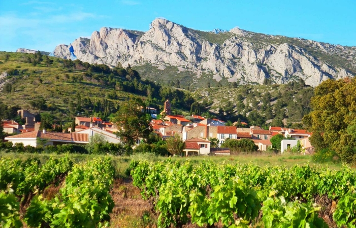 Dégustation des 7 vins naturels du Domaine blancs rosé rouges vins doux naturels avec assiette gourmande 15,00 €