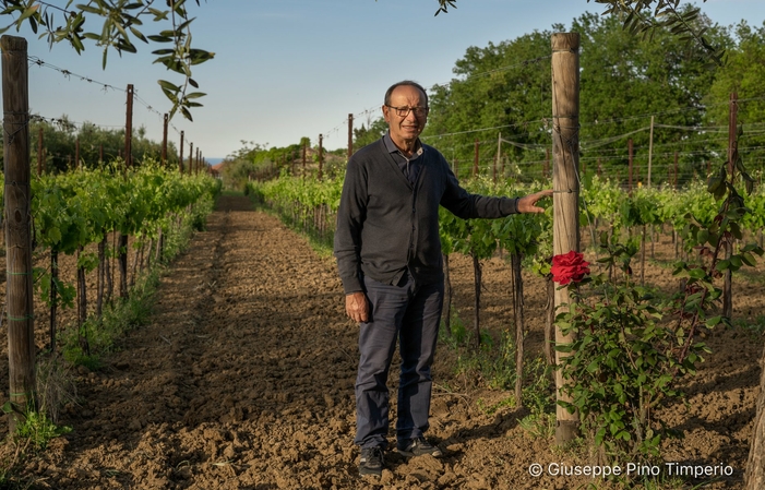 Visite et dégustaions à la Cantine Maligni 1,00 €