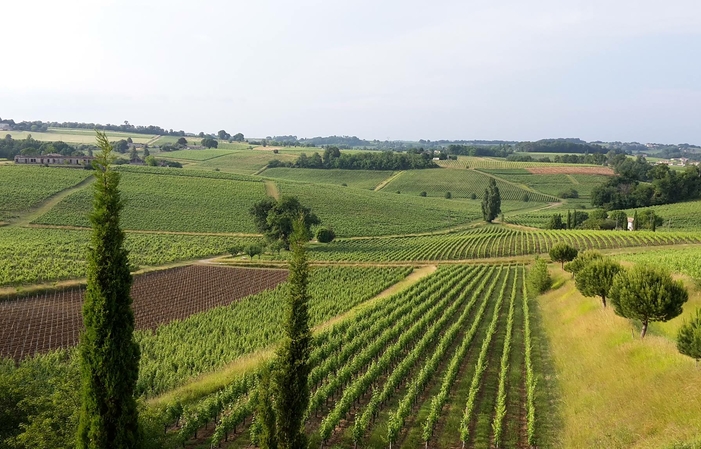 Sentier pédestre : Les 4 saisons de la Vigne au Château de la Grave 1,00 €