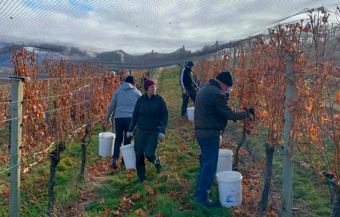Visite et dégusutations de Misha's Vineyard Wines 1,00 €