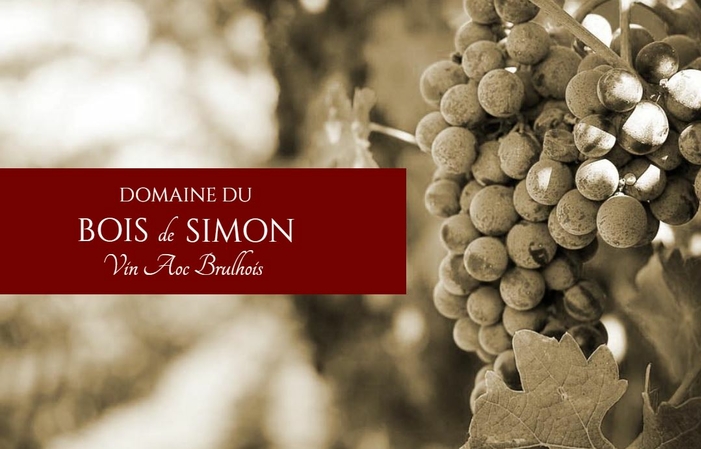 Journée vendanges: Domaine Bois de Simon 20,00 €