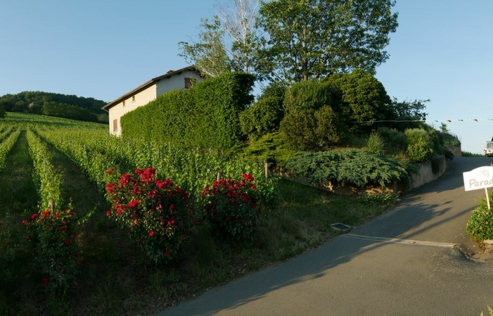 Visite et dégustation au domaine des Roches Bleues 15,00 €