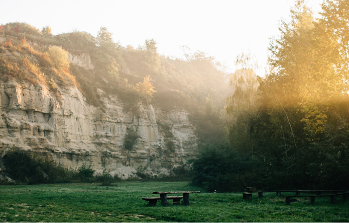 Visite du Vignoble et de la Cave + Dégustation - Winnica Sandomierska 7,00 €