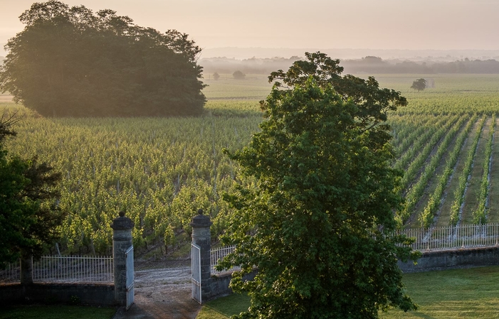 Déjeuner sur l'herbe - Château Malescasse 35,00 €