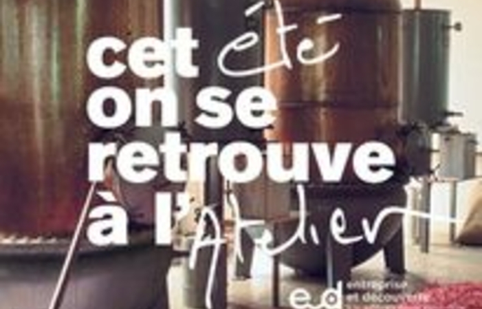 Visite et dégustations au Domaine Terre de Mistral 13,00 €