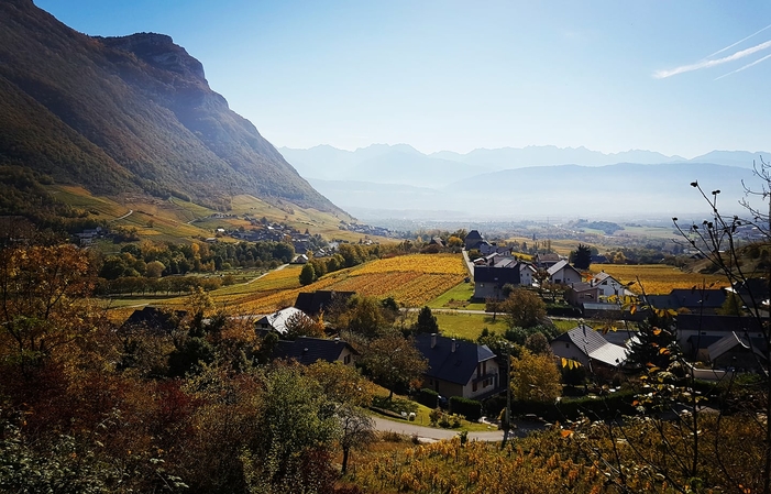 Visite et Dégustation au Vignoble de Chignin 1,00 €