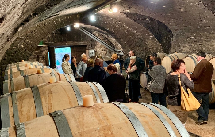 Visite et dégustations au Château de Chasselas 35,00 €