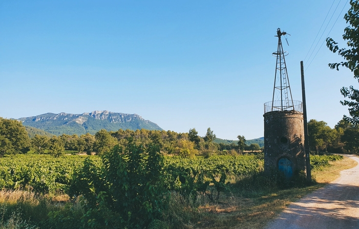 Visite et Dégustation au Domaine la Goujonne 1,00 €