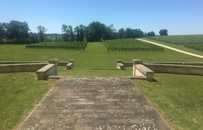 Visite et Déjeuner vigneron au Château Haut Piquat 45,00 €