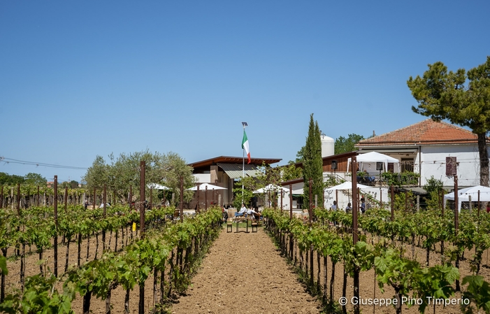 Visite et dégustaions à la Cantine Maligni 1,00 €