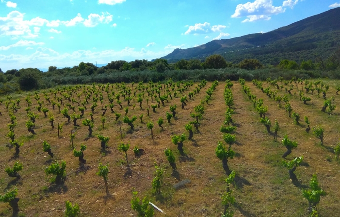 Domaine de l’Ivraie : visite et dégustation 1,00 €