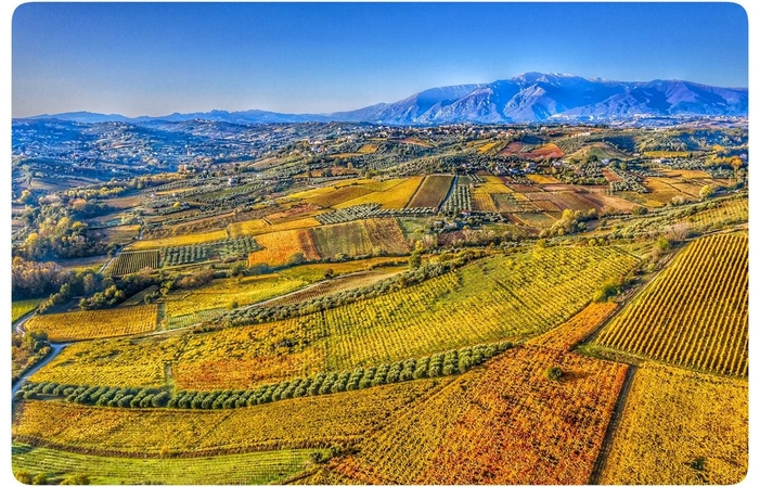 Visite et dégustations au Agriverde Cantine e Vigneti biologici dal 1991 1,00 €