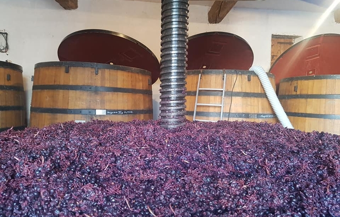 Visite et Dégustation au Domaine Marcel Lapierre 1,00 €