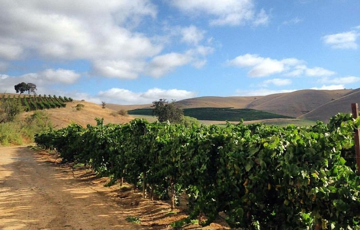 Visite et dégustations du domaine Methode Sauvage 1,00 €