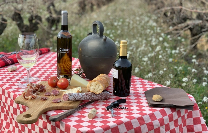 Visite et dégustation : promenade dans les vignobles de Parés Baltà 22,50 €