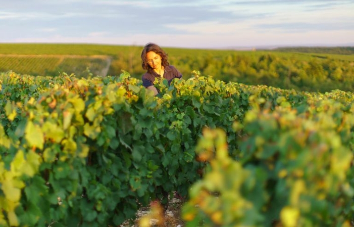 Visite et dégustation au Domaine des Marronniers à Chablis 1,00 €