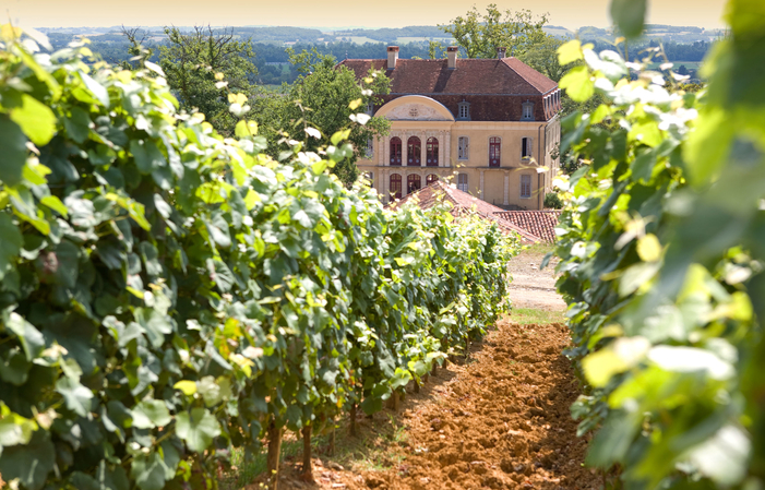 La naissance d'une icône, vignobles Brumont 20,00 €