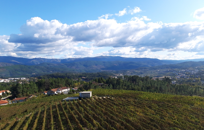 Visite Quinta de Santa Cristina 20,00 €