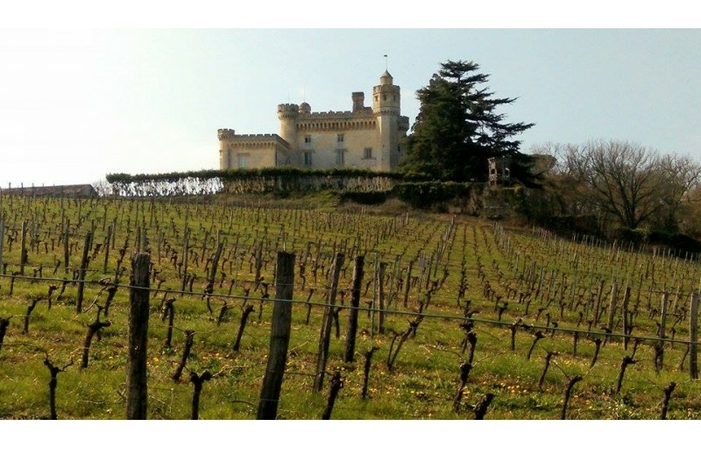 Parcours de Découverte Château de Camarsac 5,00 €