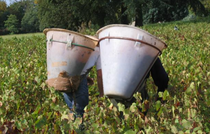 Visite Du Domaine père Guillot 1,00 €