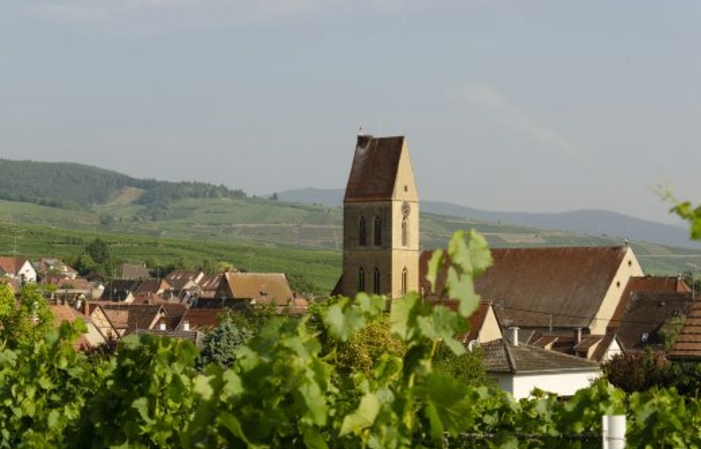 Visite et dégustation de 3 vins + Kugelhopf 5,60 €