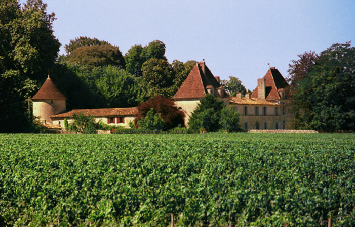 Visite-dégustation : Château d'Eyran de la vigne à la barrique 10,00 €