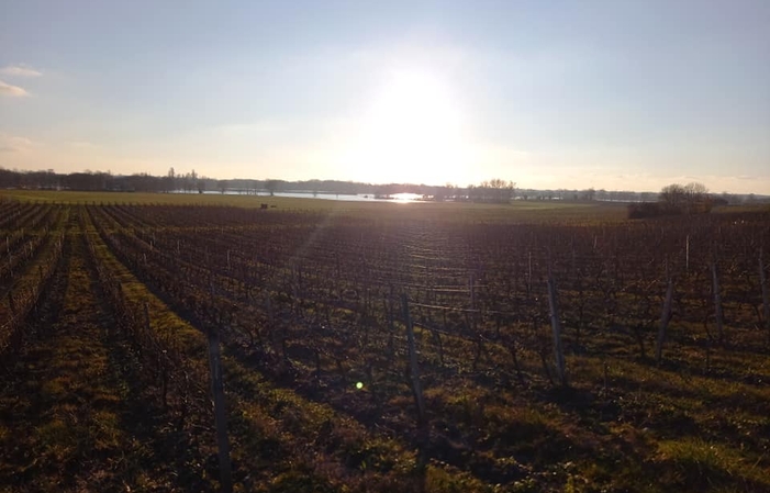 Visite et Dégustation au Château Pierre de Montignac 1,00 €