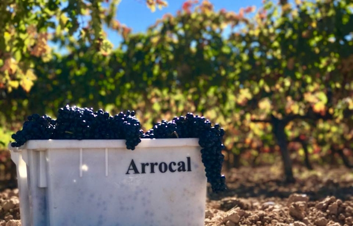 Visite du domaine ARROCAL 117,20 RUB