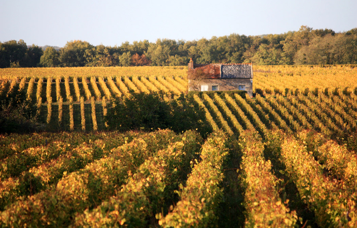 Visite domaine La Croix Mélier, Montlouis sur Loir 5,00 €